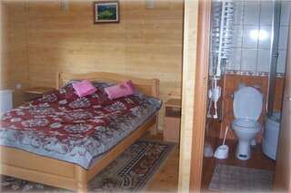 Отель Бойкивский Двир Yasenitsa Zamkova Двухместный номер с 1 кроватью или 2 отдельными кроватями-1